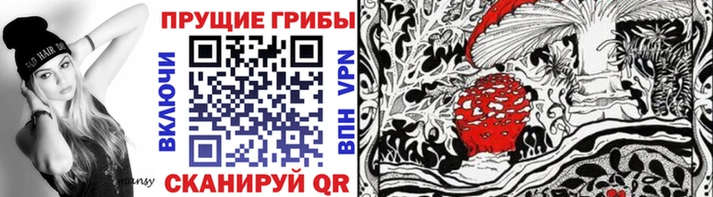 Псилоцибиновые грибы Magic Shrooms купить Кисловодск