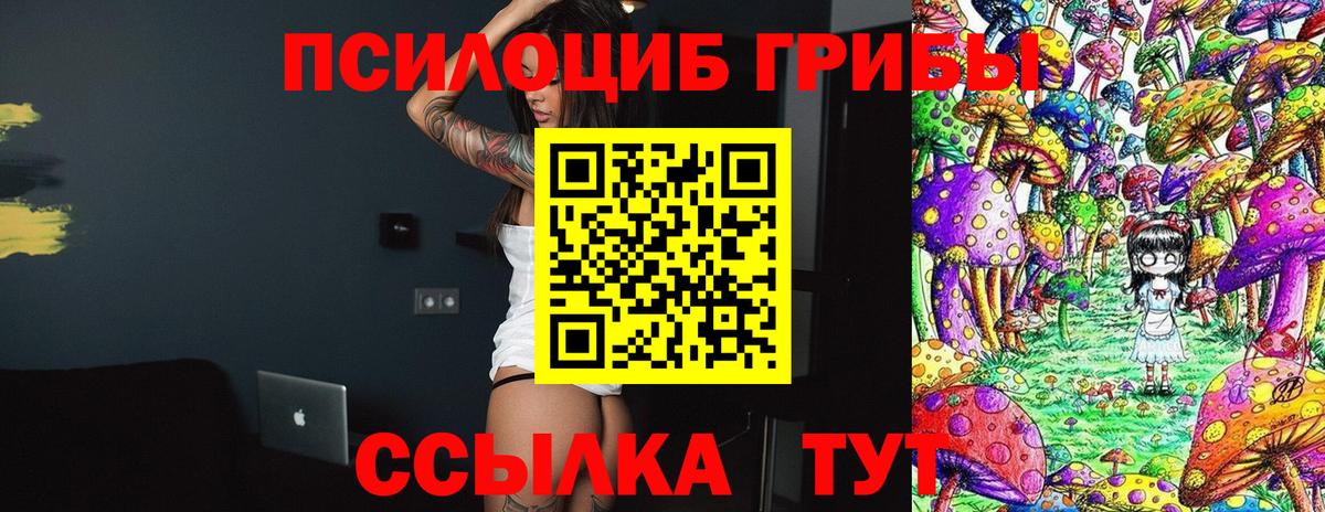 Кисловодск  Галлюциногенные грибы мухоморы  Вход с VPN 