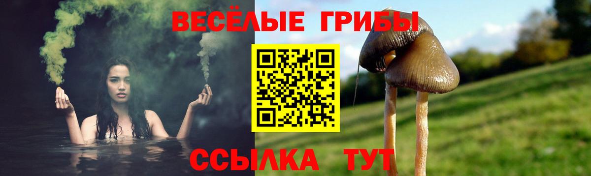 Псилоцибиновые грибы MAGIC MUSHROOMS Кисловодск
