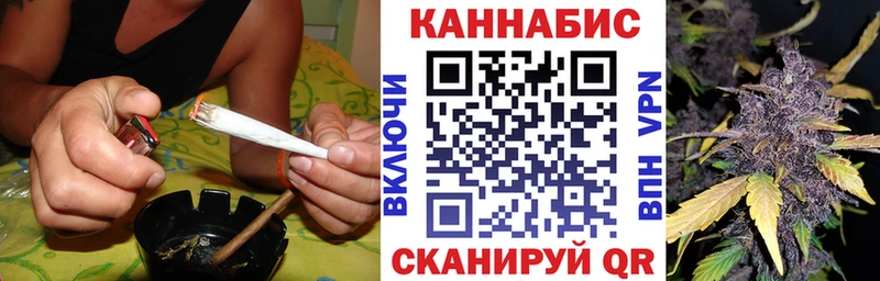 Шишки марихуана семена Кисловодск